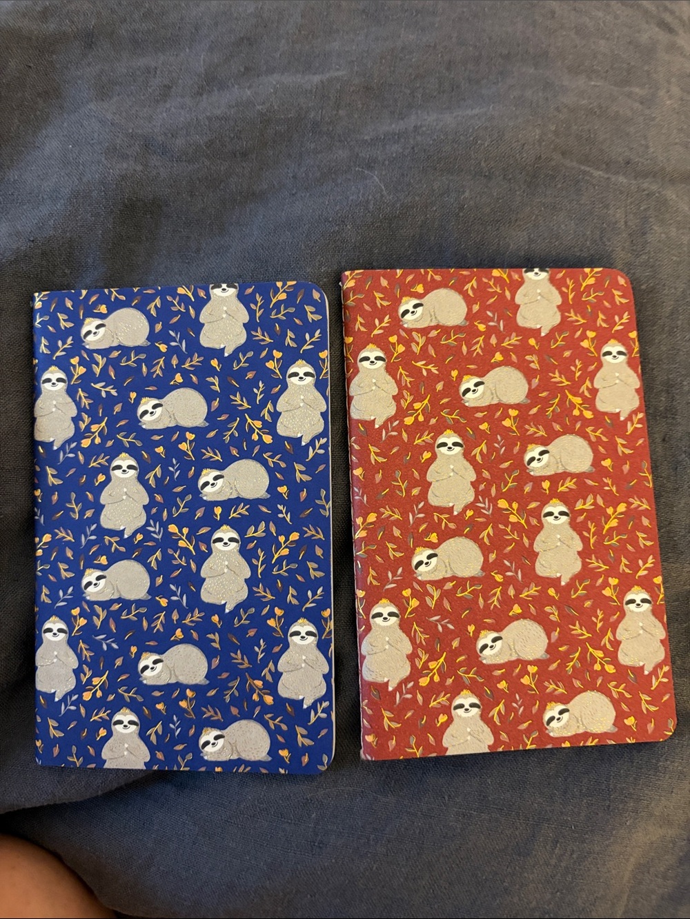 Jotter Sloth Mini Notebooks - set of 2